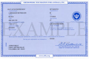 blue certificate